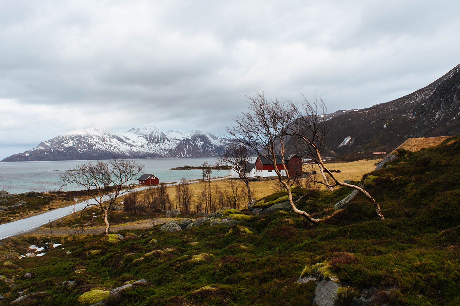 Paula Abrahao | Tromsø, Noruega