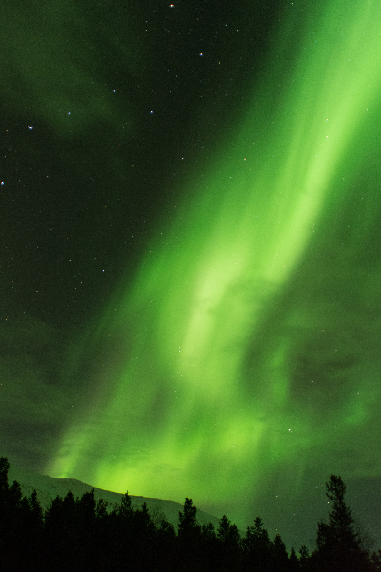 Paula Abrahão | BLOG – Aurora Boreal em Tromsø, Noruega