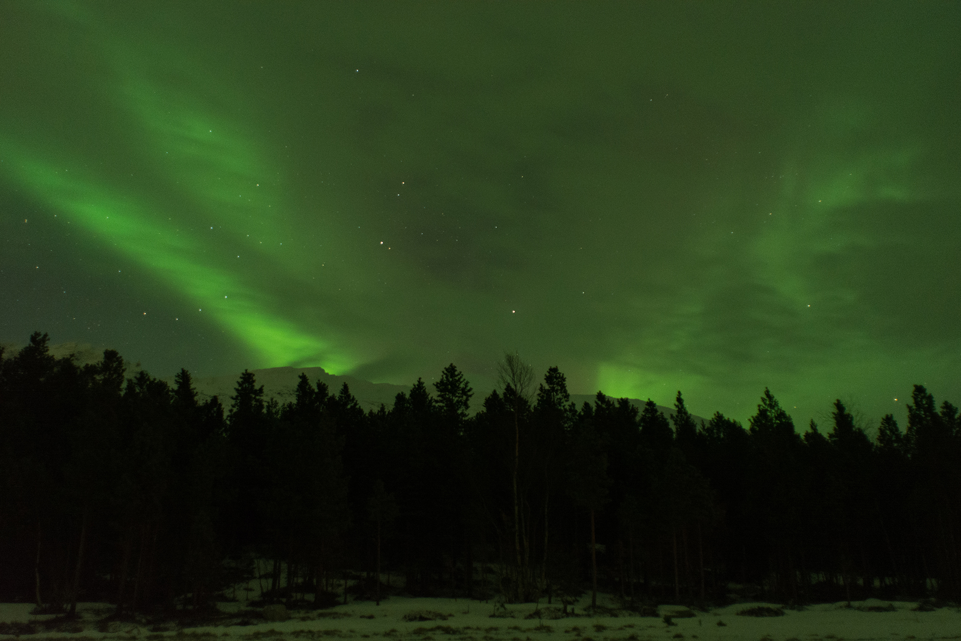 Paula Abrahão | BLOG – Aurora Boreal em Tromsø, Noruega